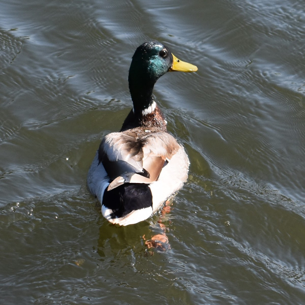 9d531381-d7f6-4699-be43-d97d9ef9d85c