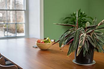 listing-samespace-coworking-hexham-fdq4tt
