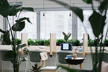 Standard Desk-2