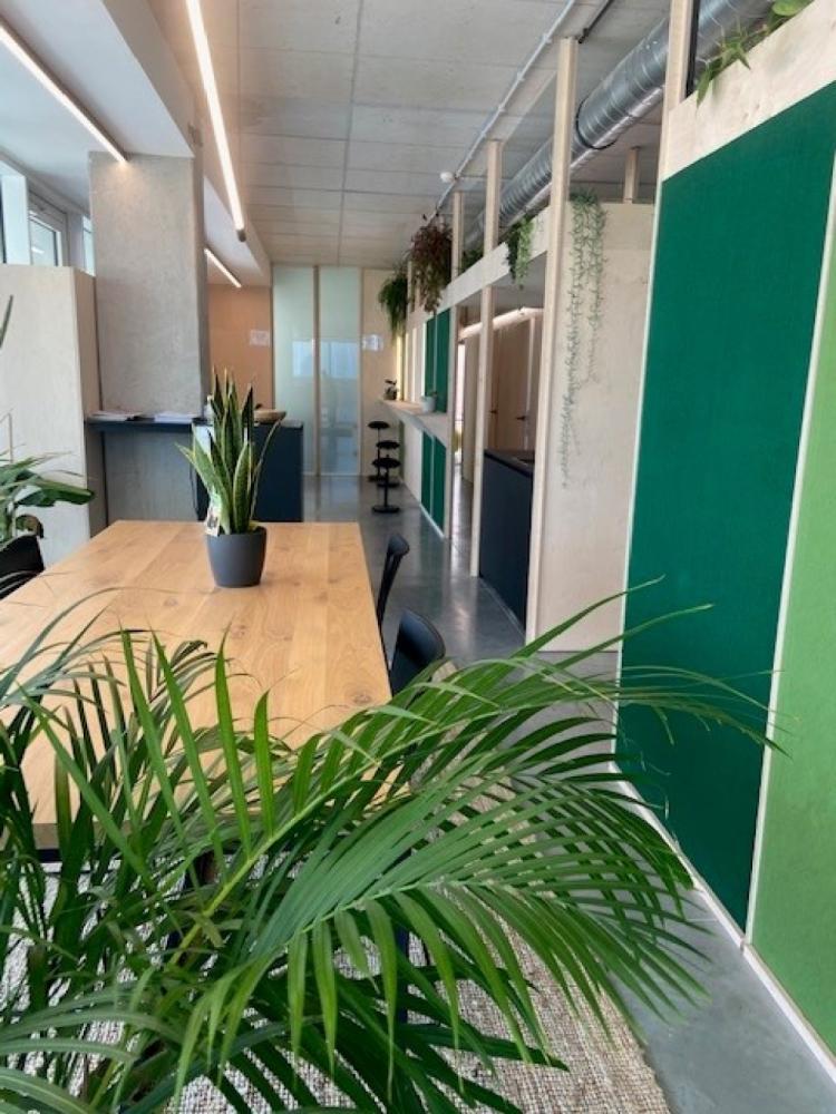 3a1bd50a-ba87-4913-afb6-3197586166ee_bureaucowork