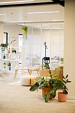 Living Area-3