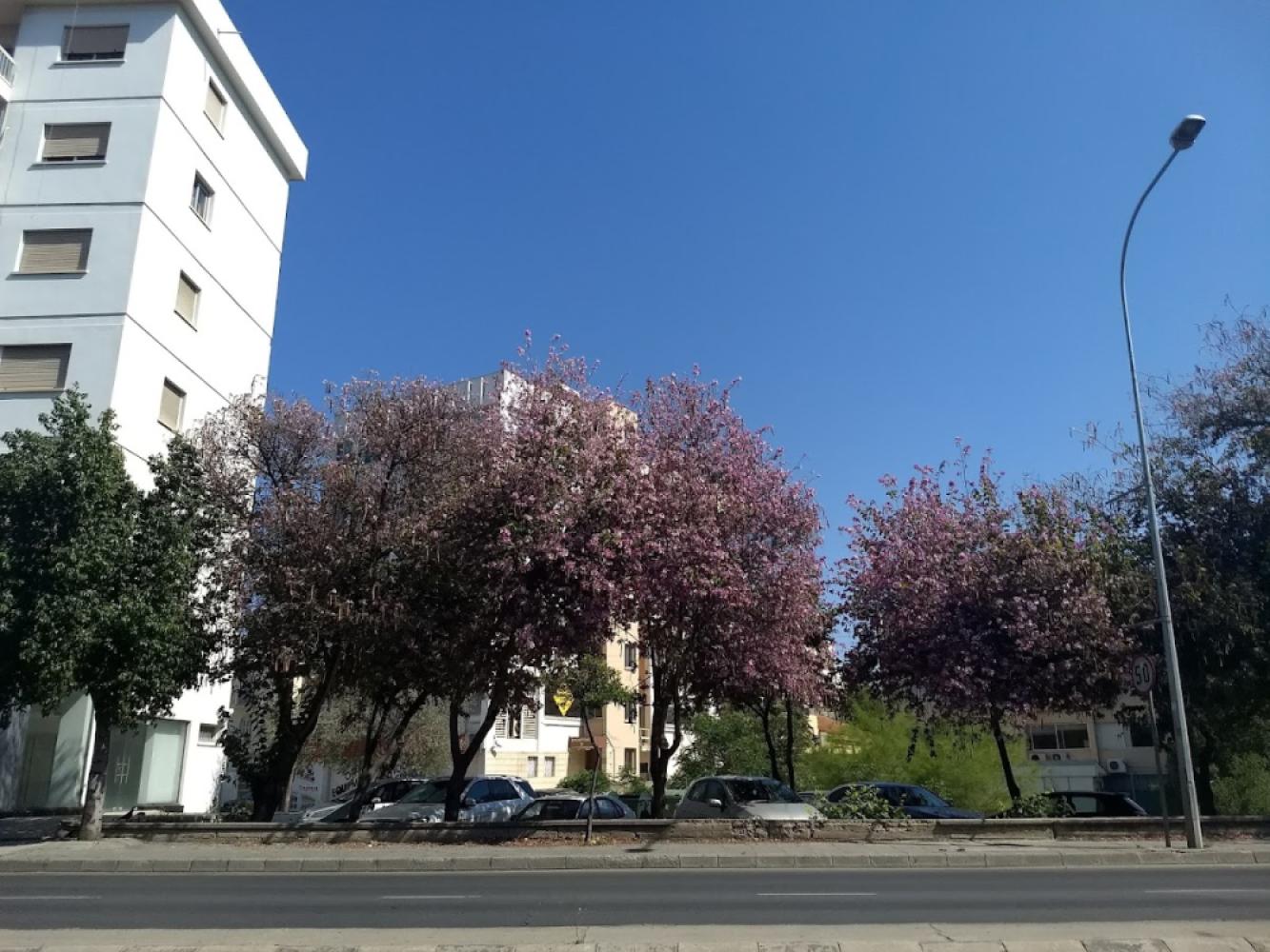 70dc56f8-5cdc-421c-b0f3-11a421c06735
