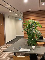 listing-regus-osaka-umeda-oei1il-quote